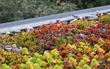 the cost of Kirkton Of Lude green roof installation