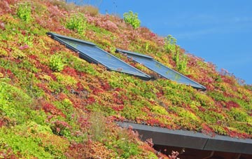 Kirkton Of Lude living roof systems